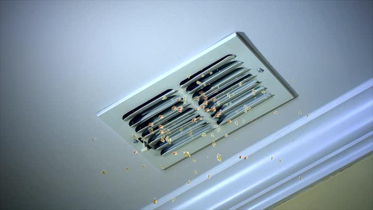 Affordable HVAC Duct Cleaning in Sheboygan, WI